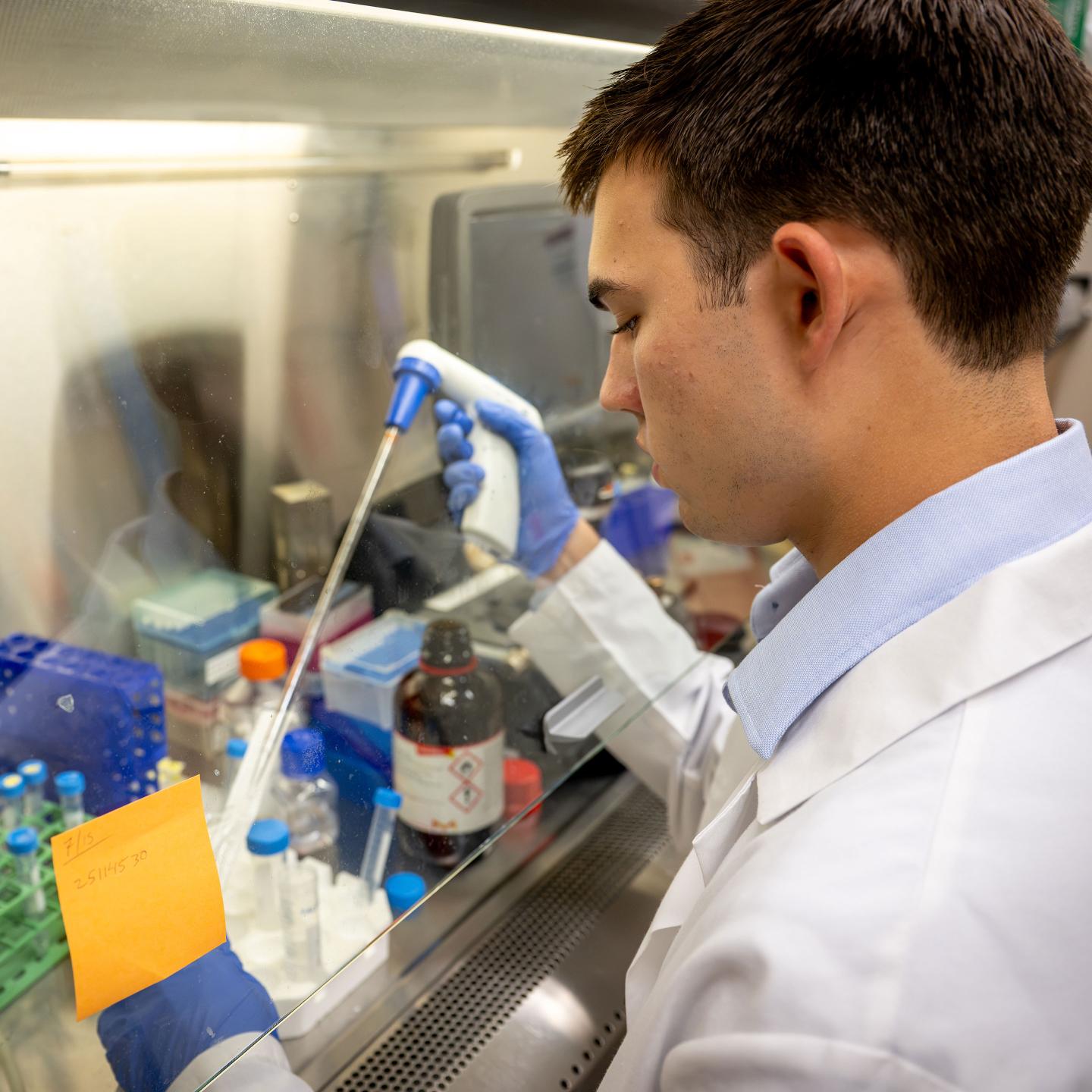 Hugo working in the lab