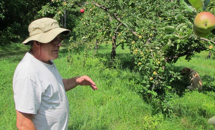 Steve Wood ASP'71 Poverty Lane Orchards