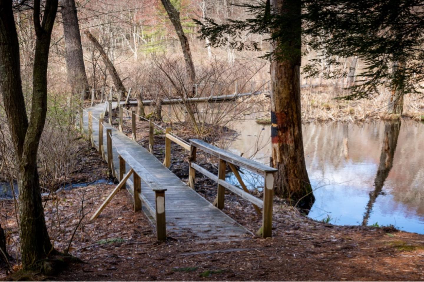 trail 2