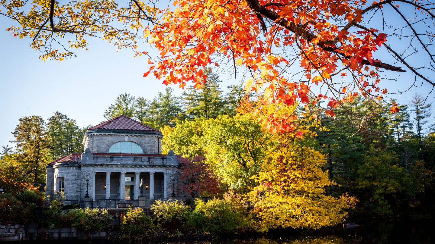 Sheldon in the fall
