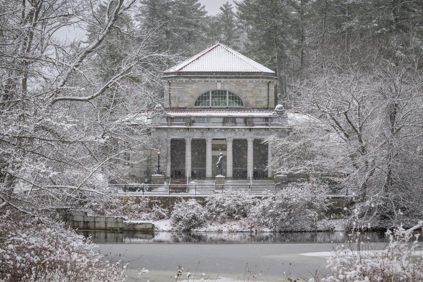 Sheldon during snowstorm 2022