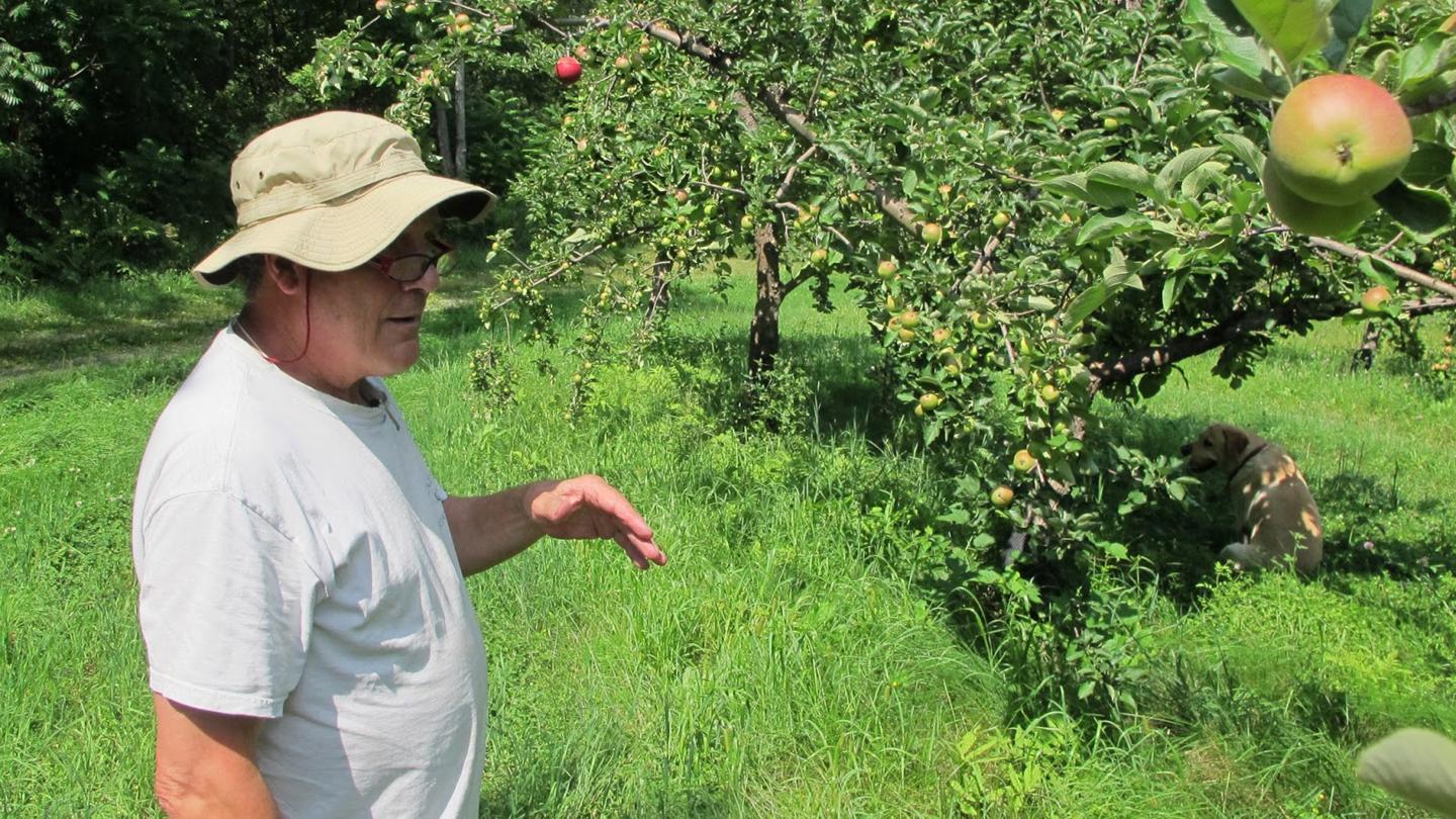 Steve Wood ASP'71 Poverty Lane Orchards