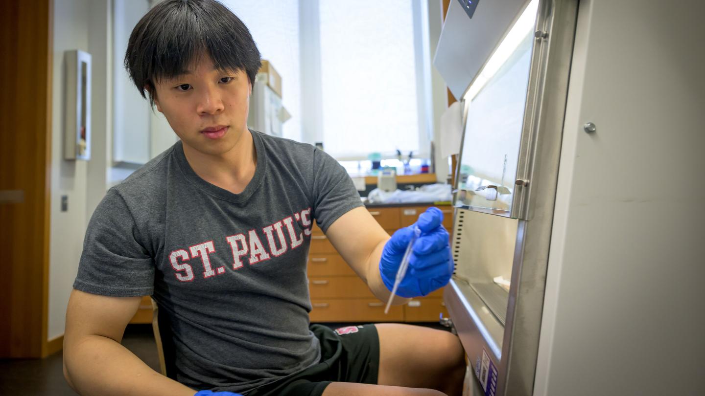 Lucas Ding '24 working at qPCR machine in Lindsay Center