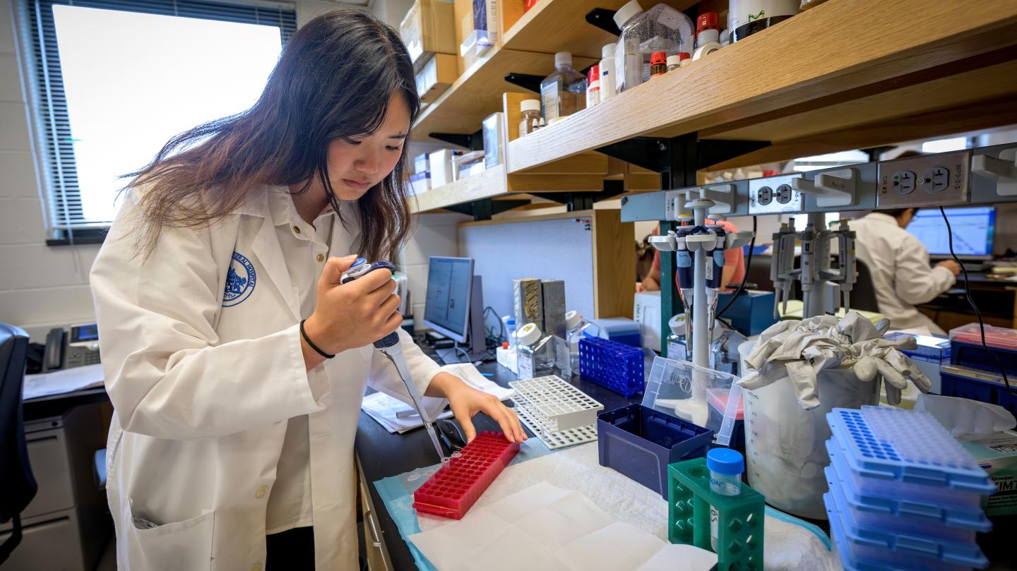Anna Liu '25 working in lab at Massachusetts General Hospital