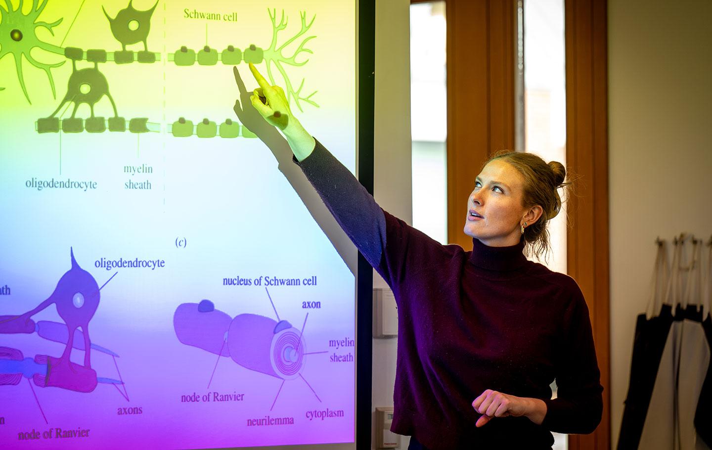 Susannah Phillips class instruction in Neuroscience class