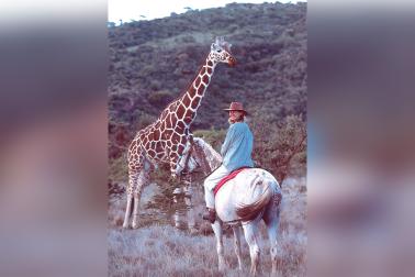 Catherine Burnett '89 on safari in Kenya